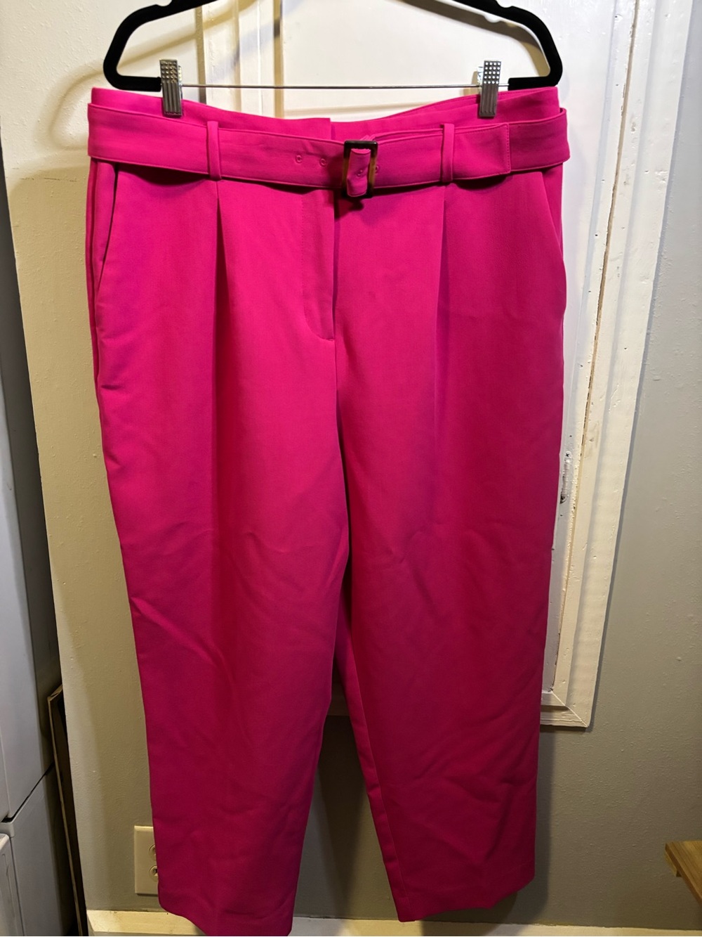 Ann Taylor Hot Pink Belted Pants